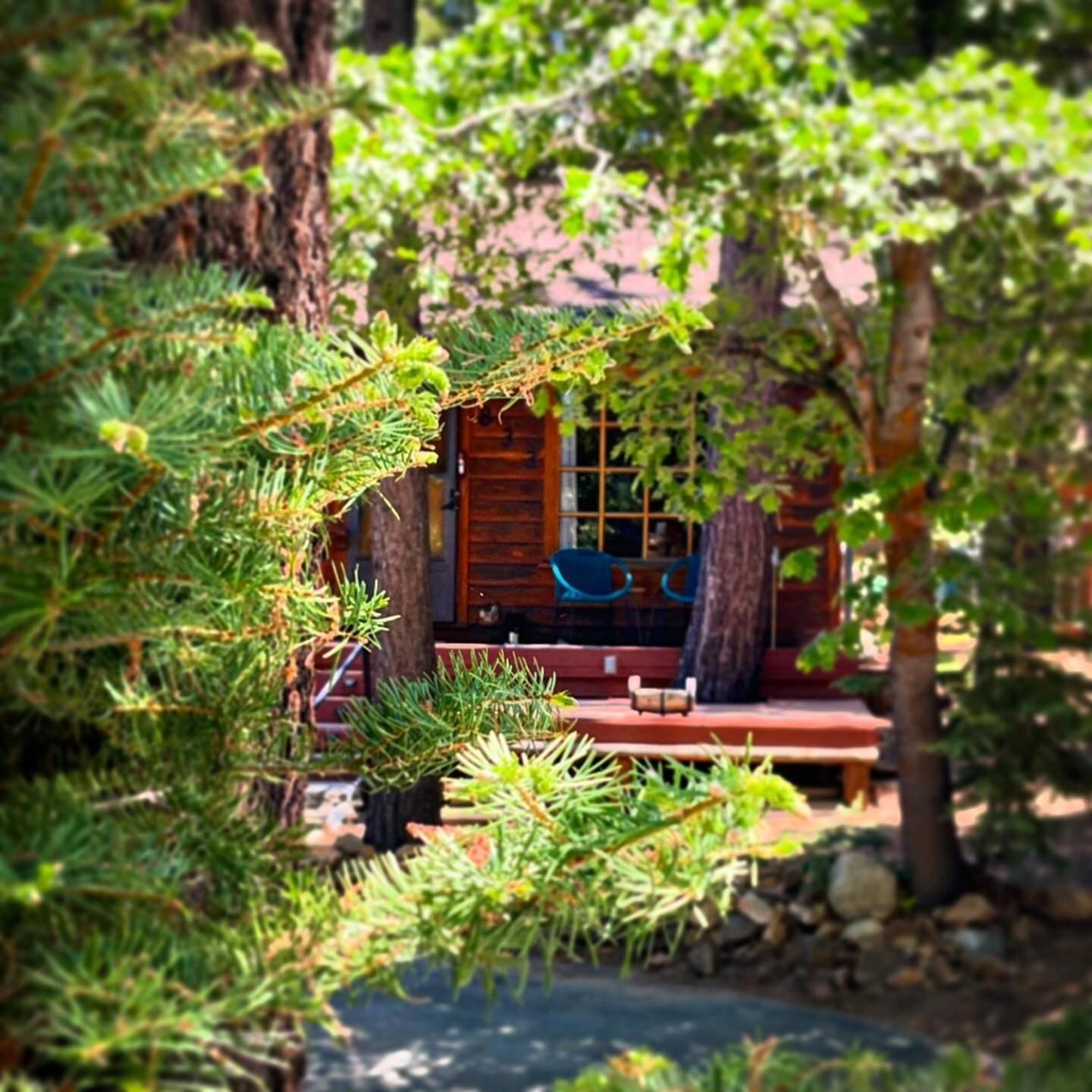 The Nest On Towne Trail - Hot Tub, Bbq, Fire Pit Villa บิ๊กแบร์เลค ภายนอก รูปภาพ